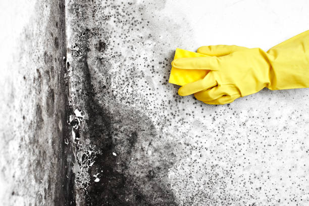 Water Damage Restoration in Marion, MT