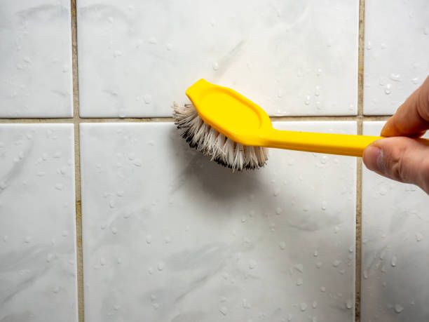Best Affordable Mold Removal  in Marion, MT