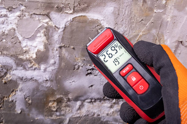 Mold Testing and Removal in Marion, MT
