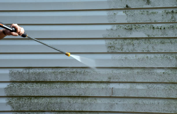 Best Commercial Mold Removal  in Marion, MT