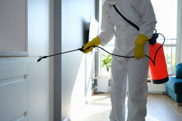 Best Toxic Mold Removal  in Marion, MT