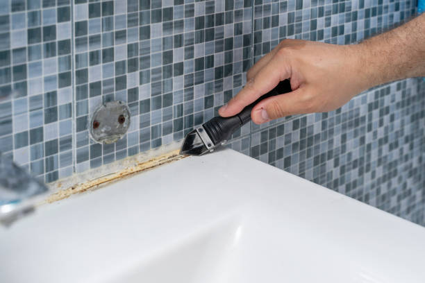 Best Office Mold Removal Services  in Marion, MT