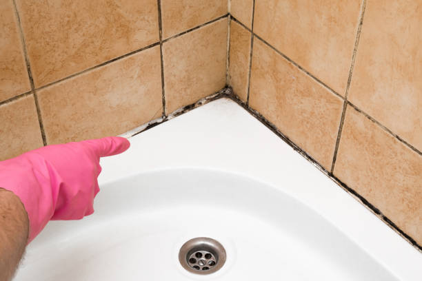 Marion, MT Mold Removal Company